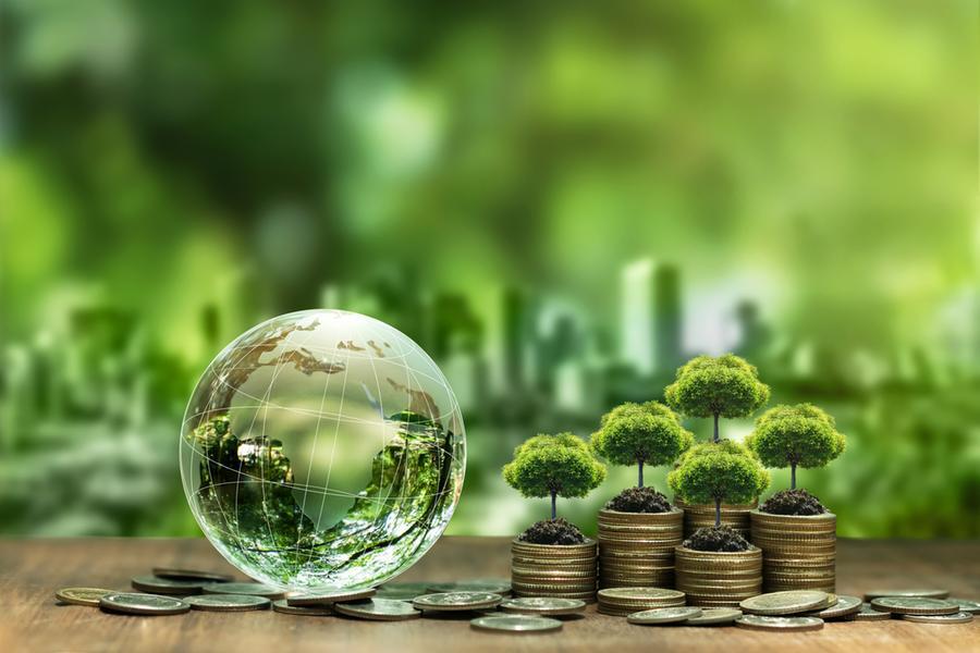 What Are The Environmental Impacts Of Electronic Waste