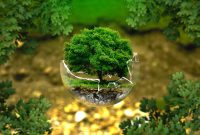How Environmental Factors Affect Personal Health Outcomes
